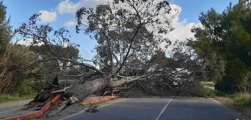 El enemigo silencioso: enfermedad y deterioro por envejecimiento El enemigo silencioso: enfermedad y deterioro por envejecimiento