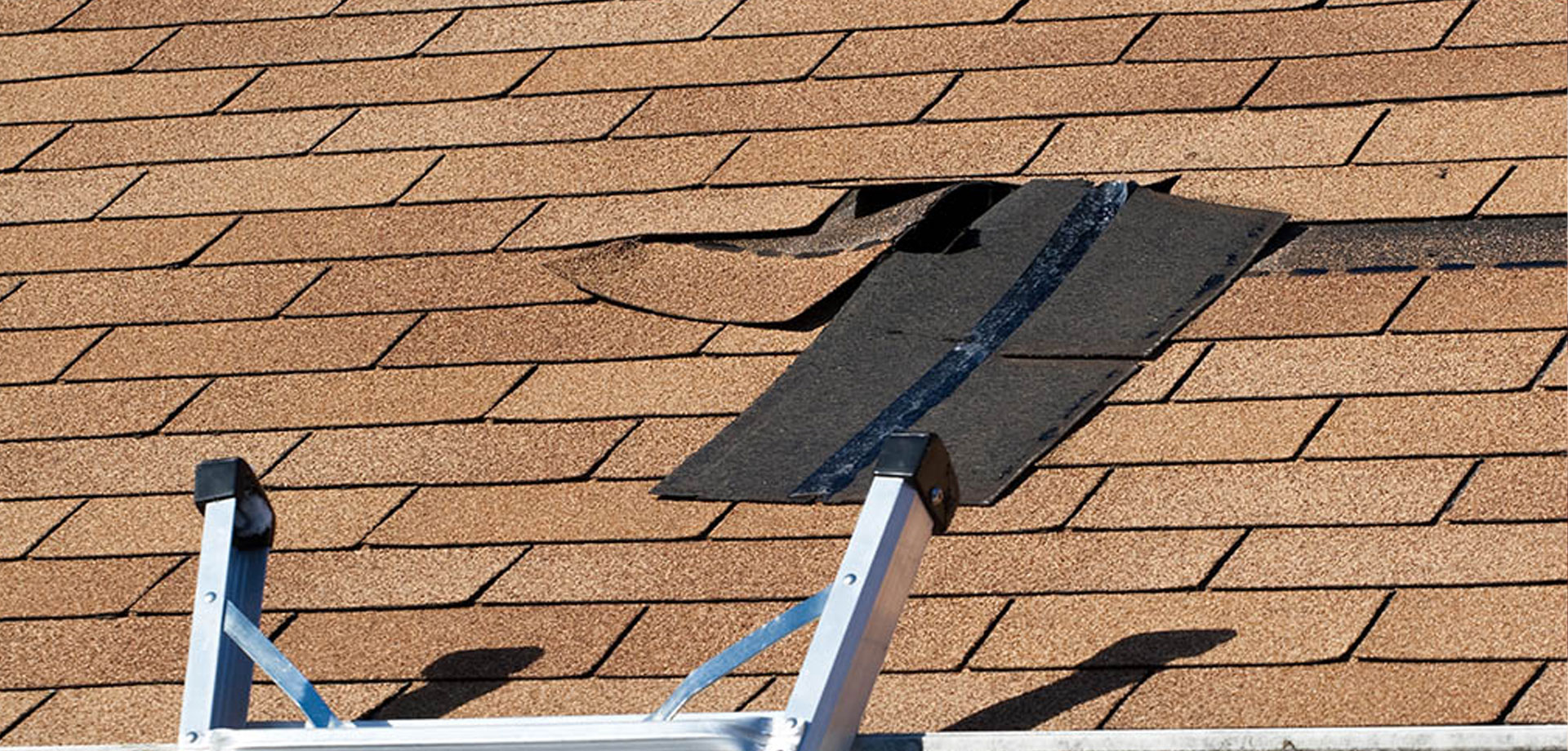 Por qué confiar únicamente en especialistas certificados